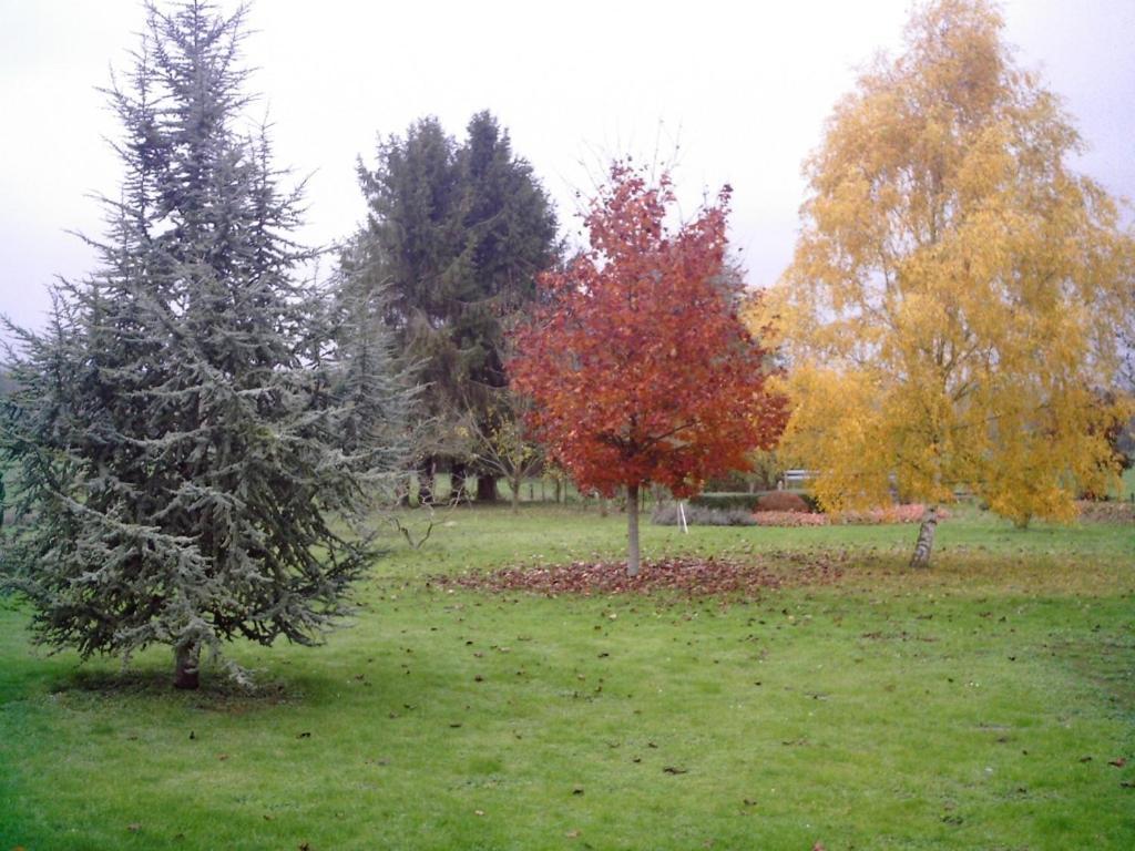 Vauxaillon Au Jardin Fleuri 빌라 외부 사진