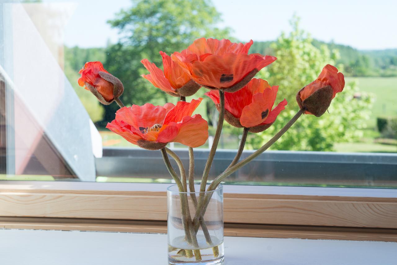 Vauxaillon Au Jardin Fleuri 빌라 외부 사진